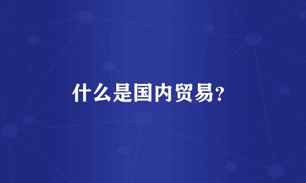 什么是国内贸易？