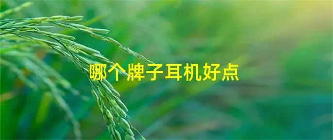 哪个牌子耳机好点