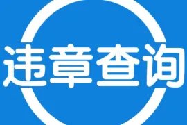 in122govcn辽宁官网是真的吗，辽宁122交通网官网是什么