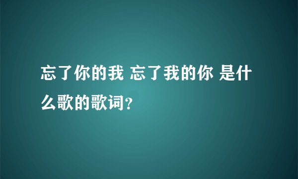 忘了你的我 忘了我的你 是什么歌的歌词？