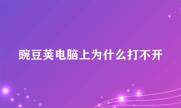 豌豆荚电脑上为什么打不开