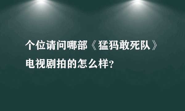 个位请问哪部《猛犸敢死队》电视剧拍的怎么样？