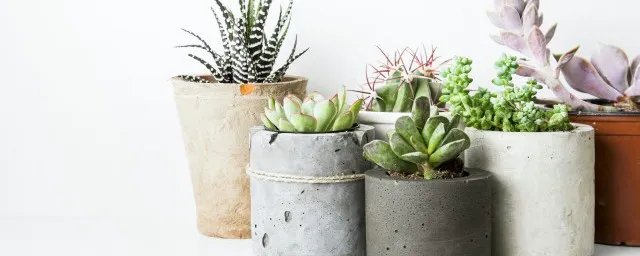多肉创意花盆制作方法
