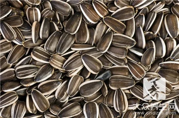 原味瓜子好,还是多味瓜子好?