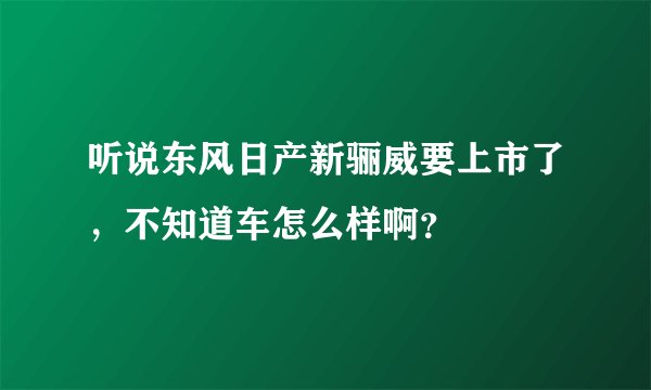 听说东风日产新骊威要上市了，不知道车怎么样啊？