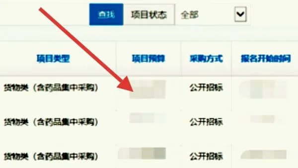 上海市政府采购网上的招标怎么网上投标？
