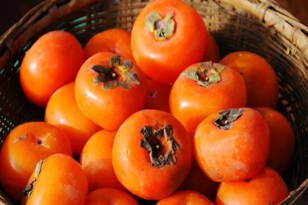 吃了柿子后不能吃哪些东西