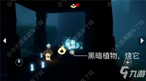 《光遇》4月19日常任务怎么做 4月19日常任务攻略