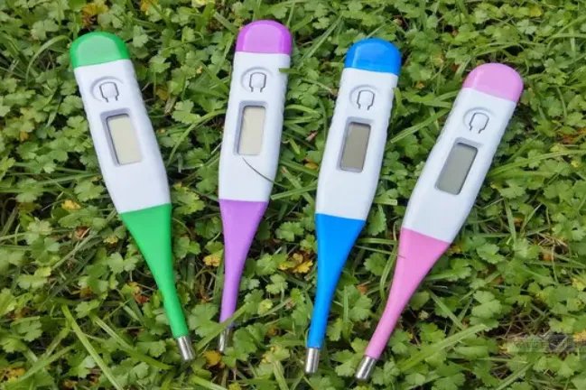 口腔体温计图片