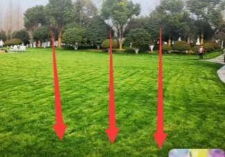 朋友圈背景图怎么保存