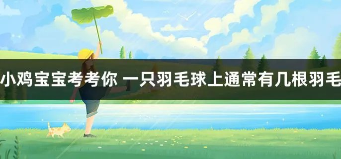  一只羽毛球上通常有几根羽毛