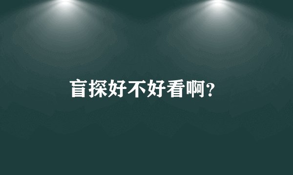 盲探好不好看啊？