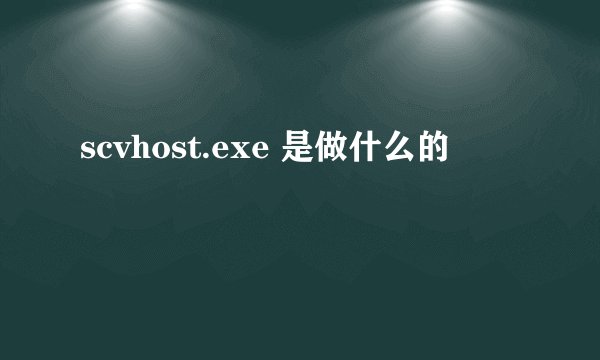 scvhost.exe 是做什么的