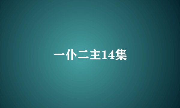 一仆二主14集