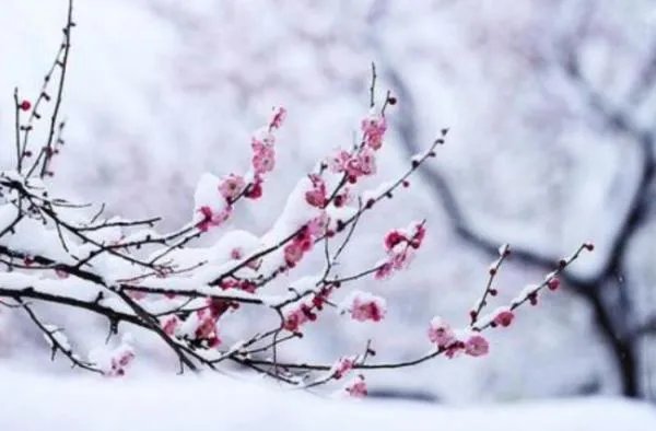 湖南长沙下雪吗