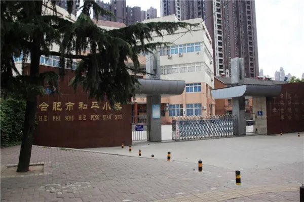 合肥市公立小学排名榜 合肥市青年路小学上榜第一设备丰富