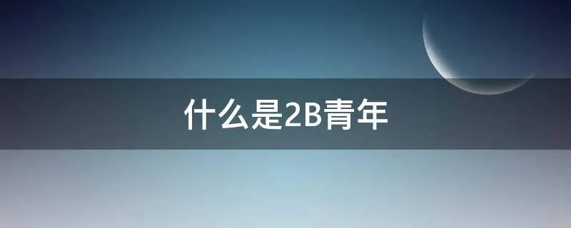 什么是2B青年