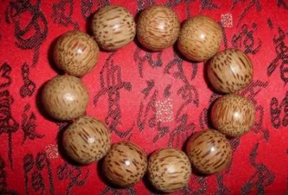 菩提子有哪些种类？菩提子种类大全图片介绍！