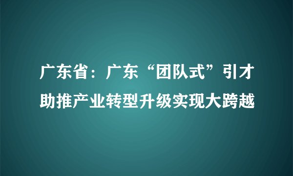 广东省：广东“团队式”引才助推产业转型升级实现大跨越