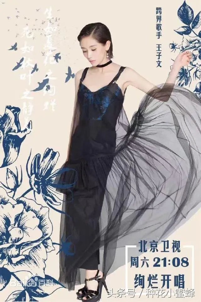 有哪些唱功很好的跨界歌手？