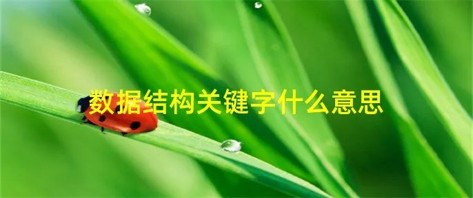 数据结构关键字什么意思