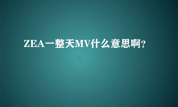 ZEA一整天MV什么意思啊？