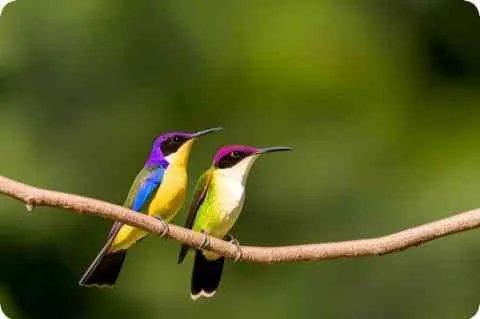 世界上哪些国家人口比例失调严重呀！