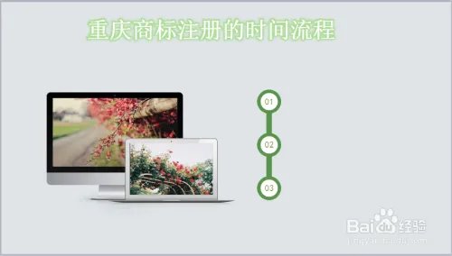 个人怎么进行重庆商标注册