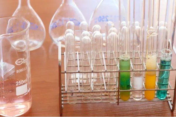 什么是研究性学习?