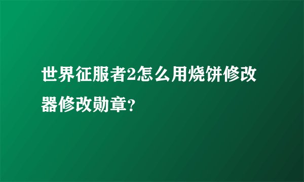 世界征服者2怎么用烧饼修改器修改勋章？
