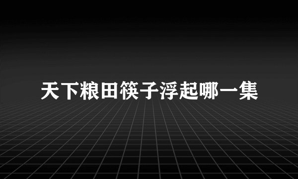 天下粮田筷子浮起哪一集