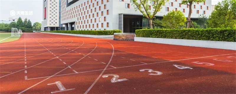 新疆艺术学院是几本