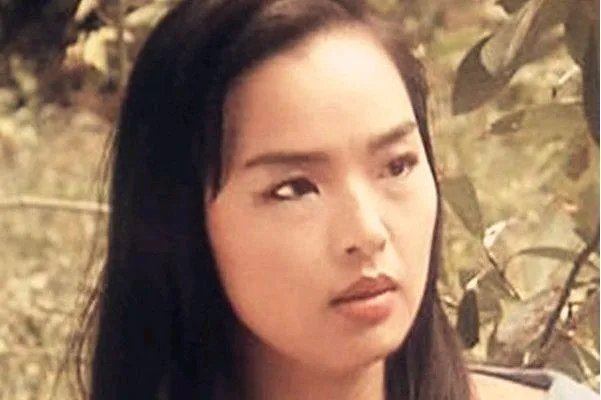 法网柔情演员表照片？