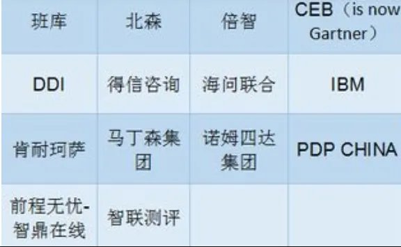 国内人才测评公司排名是什么?