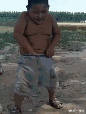 众人投资开驴肉火烧店，10分钟众筹60万，是真驴肉吗？