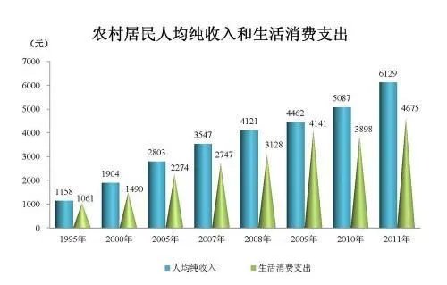 农村居民人均纯收入是指什么啊？