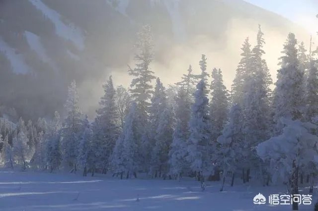 喀纳斯的风景如何?