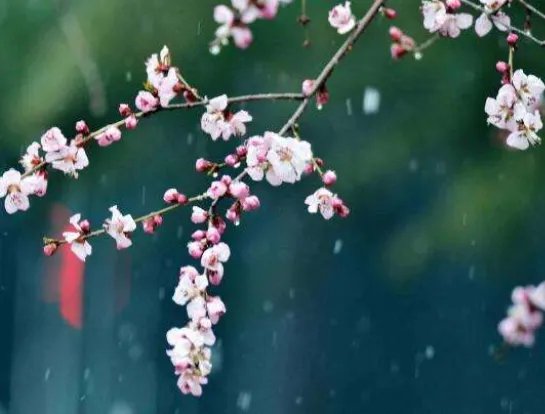 “没有一个春天不会来临,没有一个冬天不可逾越。”是什么意思？