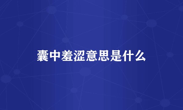 囊中羞涩意思是什么