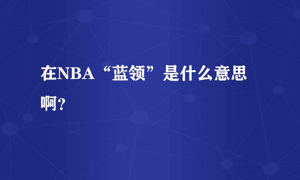 在NBA“蓝领”是什么意思啊？