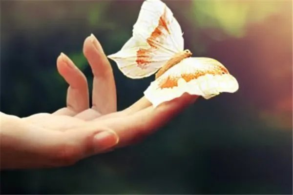 人类是怎么被“造”出的？我们人类能不能创造智能生命？