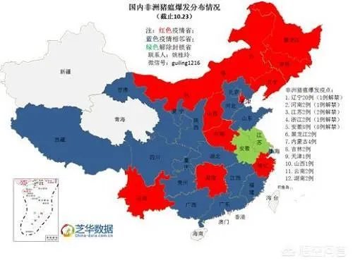 非洲猪瘟目前是什么情况？