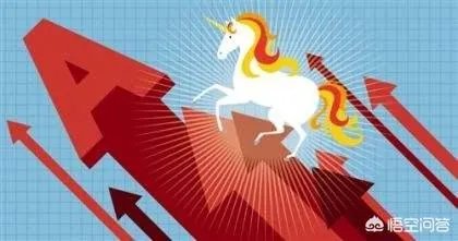 独角兽概念