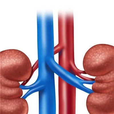 急性肾病综合症的症状