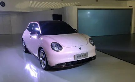 国产纯电动汽车排行榜前十名