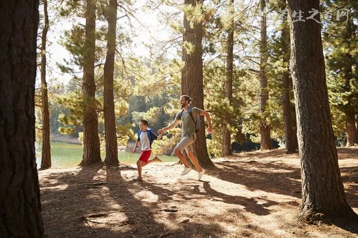 老人六十大寿送什么