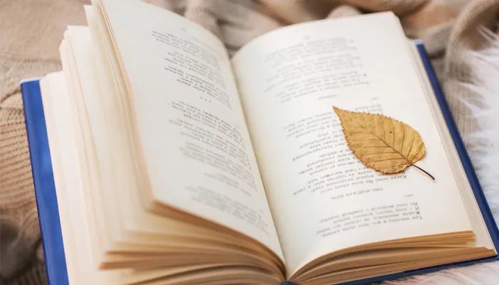 二八定律是什么意思 二八定律的意思