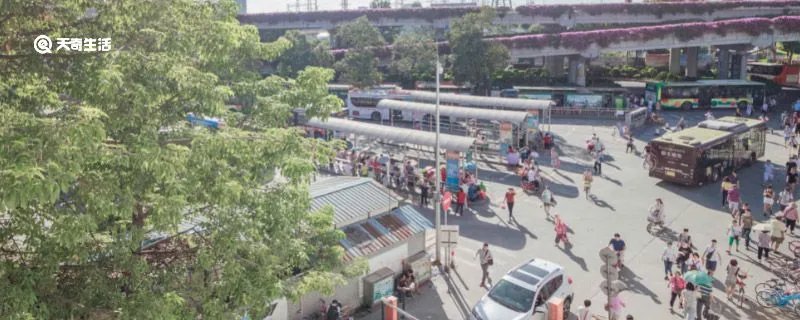 重庆汽车站在哪里