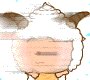 喜羊羊和美羊羊qq头像