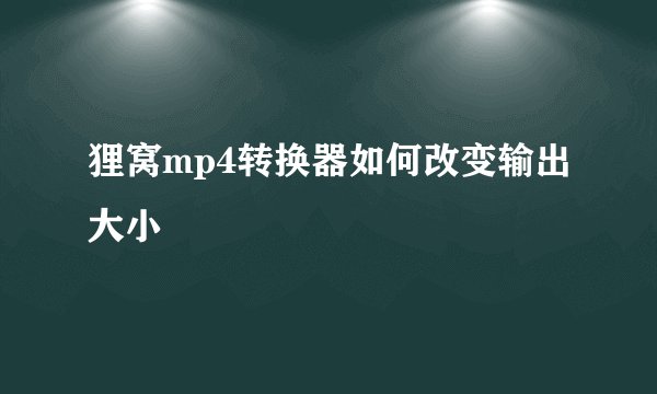 狸窝mp4转换器如何改变输出大小
